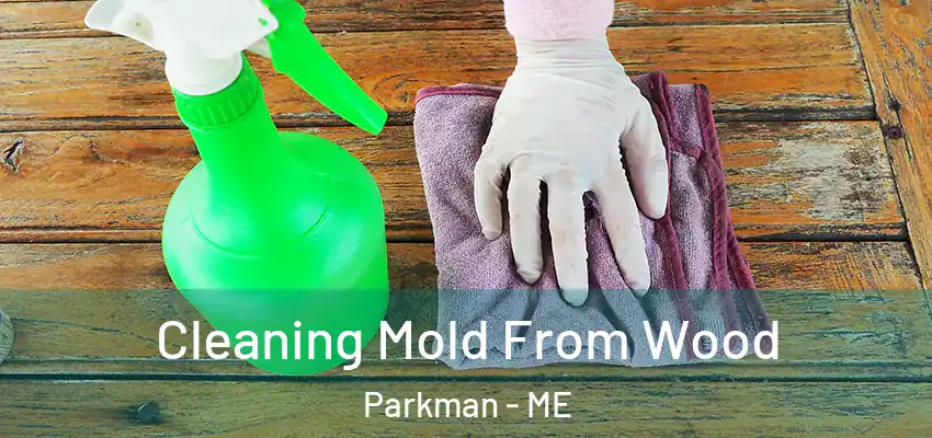  Cleaning Mold From Wood Parkman - ME