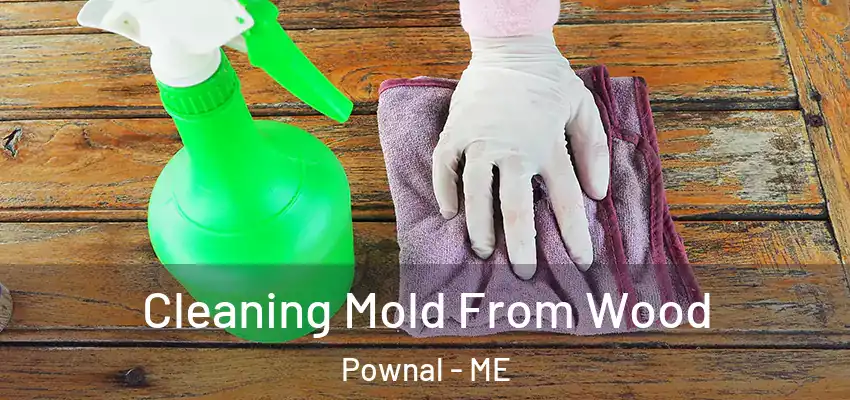  Cleaning Mold From Wood Pownal - ME