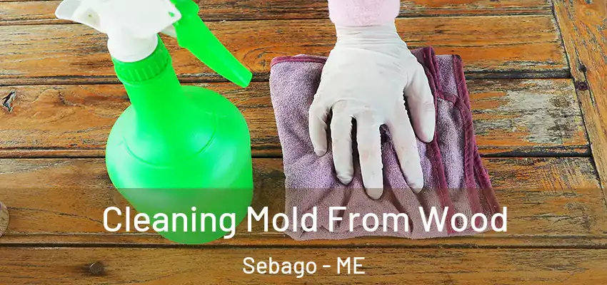  Cleaning Mold From Wood Sebago - ME