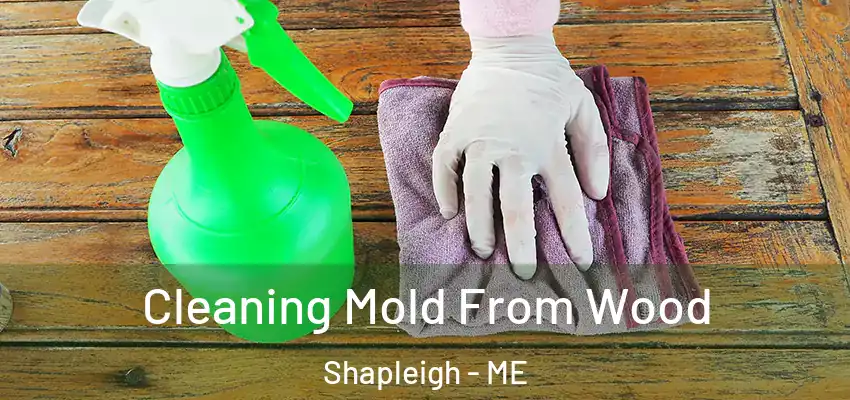  Cleaning Mold From Wood Shapleigh - ME
