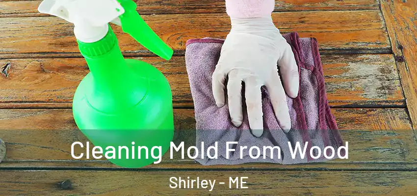  Cleaning Mold From Wood Shirley - ME