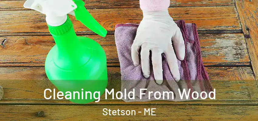 Cleaning Mold From Wood Stetson - ME