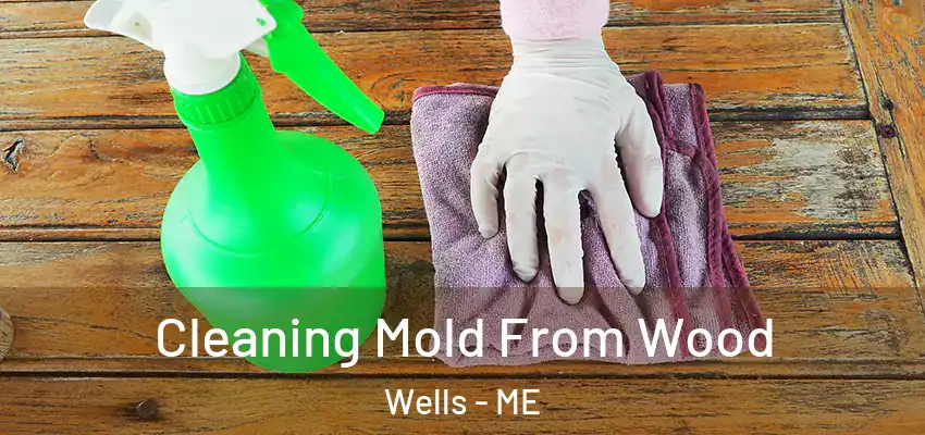  Cleaning Mold From Wood Wells - ME