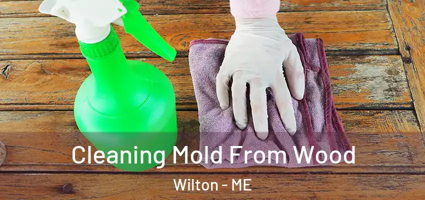  Cleaning Mold From Wood Wilton - ME