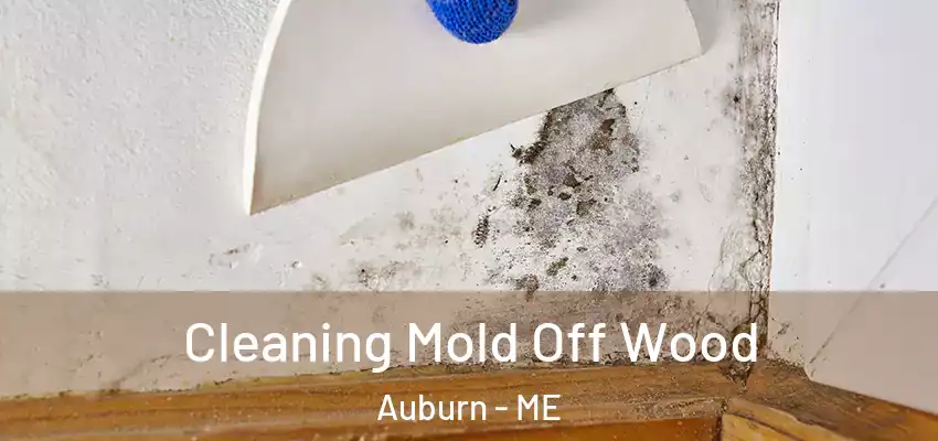  Cleaning Mold Off Wood Auburn - ME