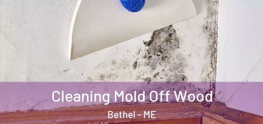  Cleaning Mold Off Wood Bethel - ME