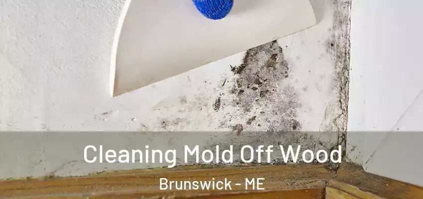  Cleaning Mold Off Wood Brunswick - ME