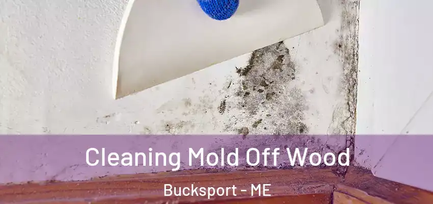  Cleaning Mold Off Wood Bucksport - ME