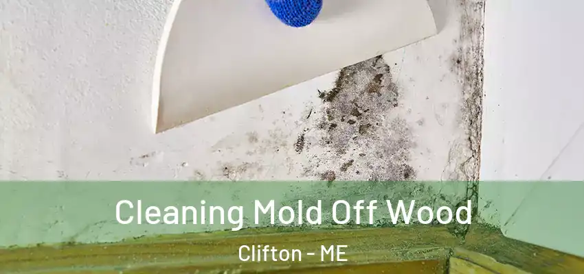  Cleaning Mold Off Wood Clifton - ME