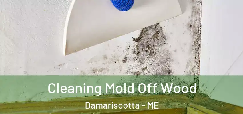  Cleaning Mold Off Wood Damariscotta - ME