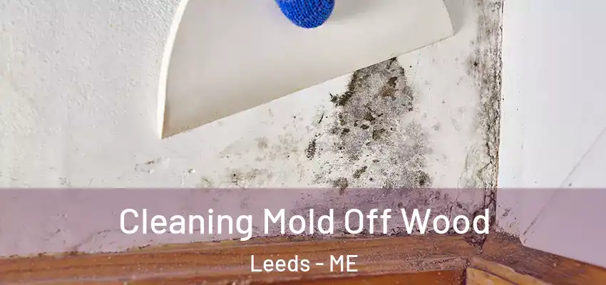  Cleaning Mold Off Wood Leeds - ME