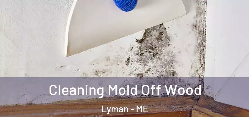  Cleaning Mold Off Wood Lyman - ME