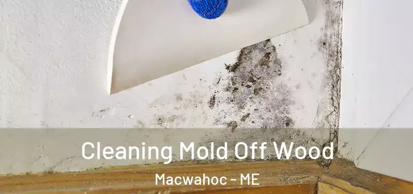  Cleaning Mold Off Wood Macwahoc - ME