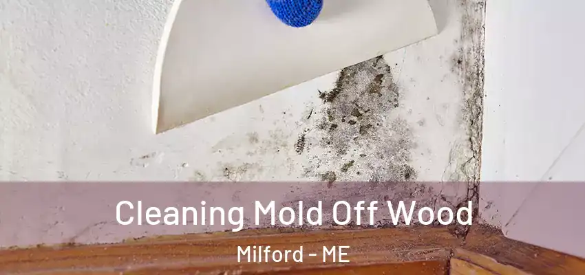 Cleaning Mold Off Wood Milford - ME