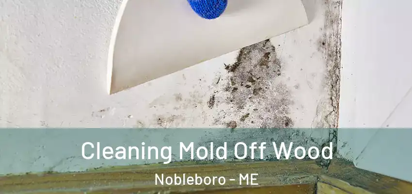  Cleaning Mold Off Wood Nobleboro - ME
