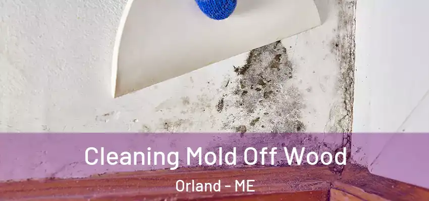  Cleaning Mold Off Wood Orland - ME