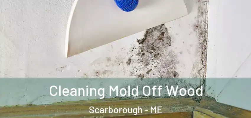  Cleaning Mold Off Wood Scarborough - ME