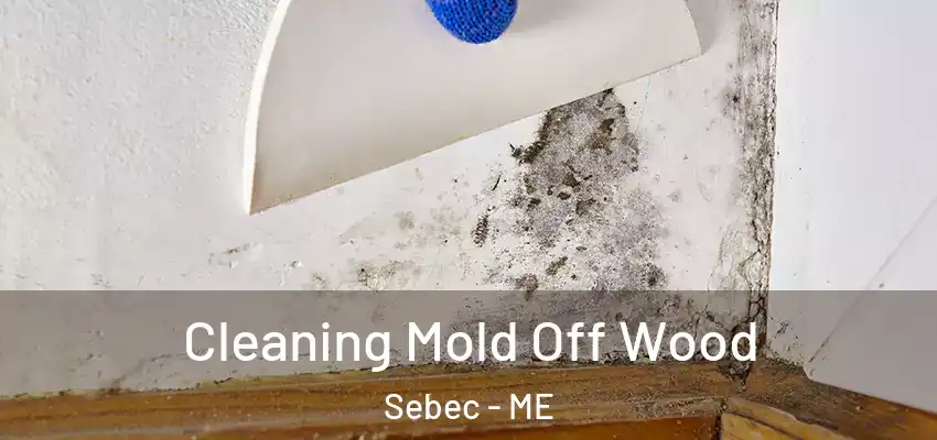  Cleaning Mold Off Wood Sebec - ME