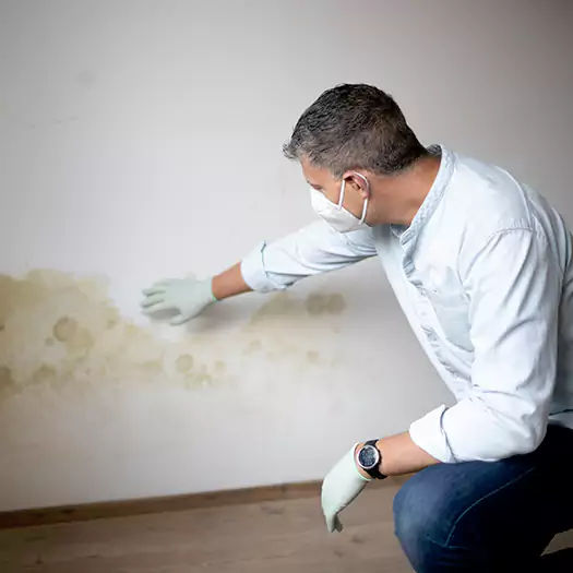 Trusted Mold Remediation and Removal Experts in Alna, ME