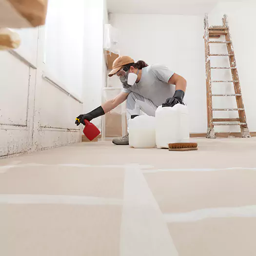 Reliable Mold Stain Remover Specialists in Milford, ME