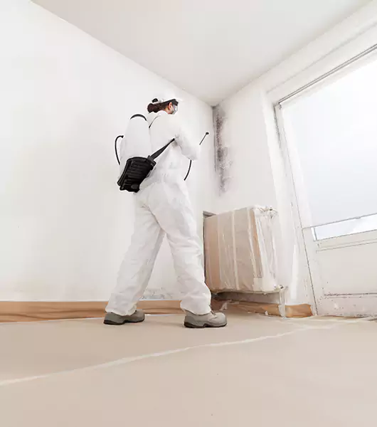 Specialists in All Areas of Mold Remediation and Water Damage Restoration in Alna, ME