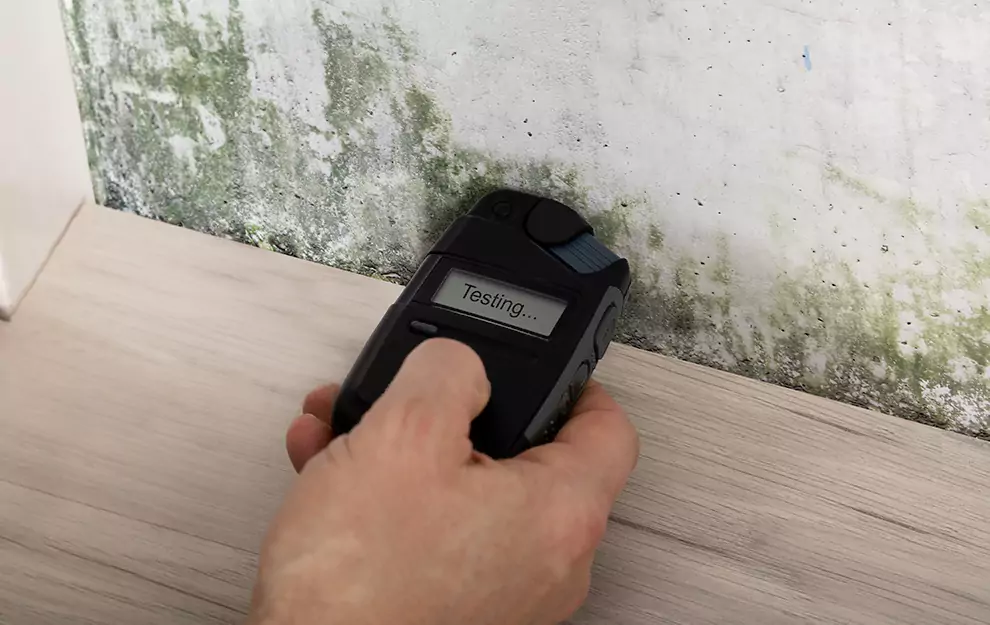 Top-Notch Mold Removal and Restoration Services in Alna, ME