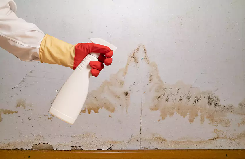 Prevent Future Mold in Alna, ME