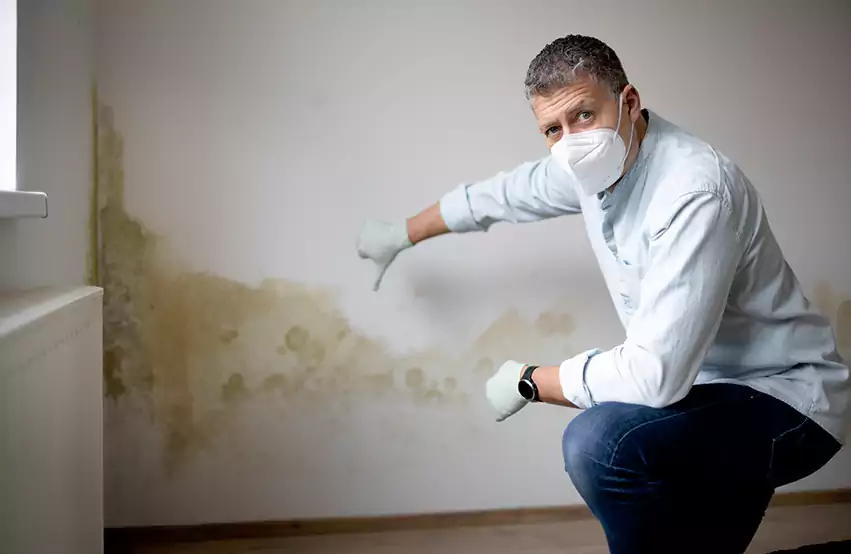 Mold Removal in Alna, ME