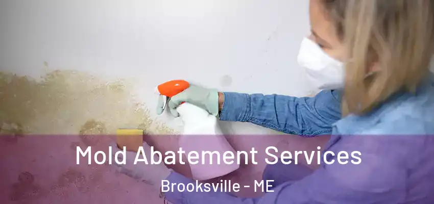  Mold Abatement Services Brooksville - ME