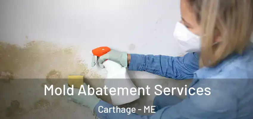  Mold Abatement Services Carthage - ME