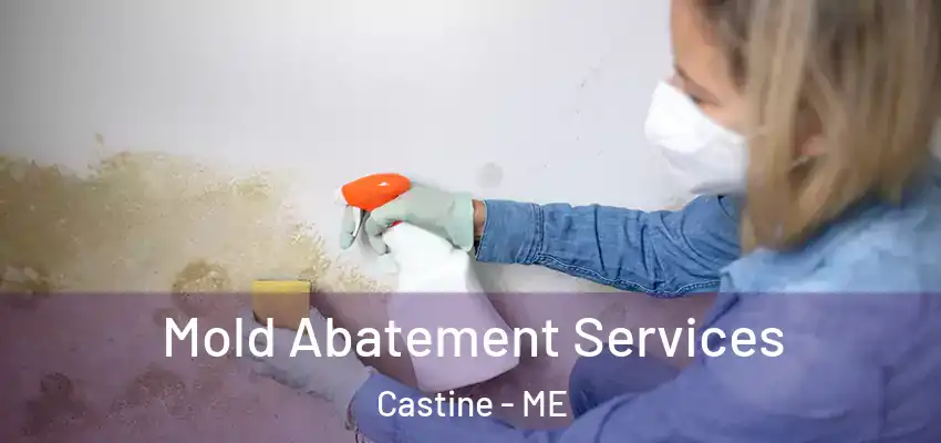 Mold Abatement Services Castine - ME