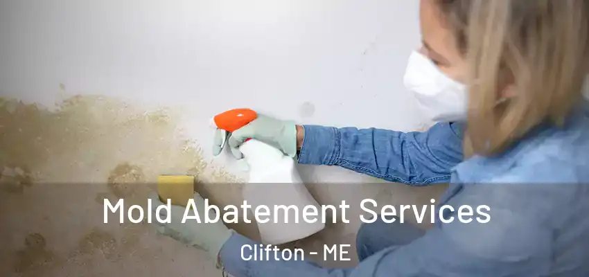  Mold Abatement Services Clifton - ME