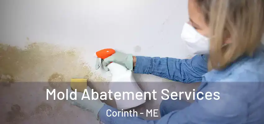  Mold Abatement Services Corinth - ME