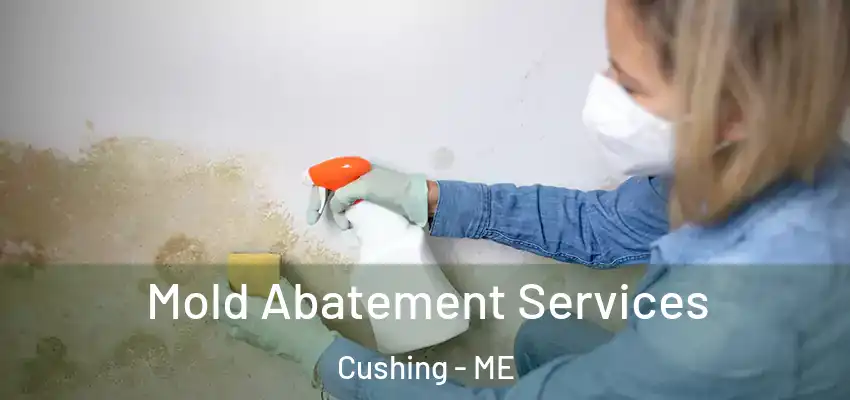  Mold Abatement Services Cushing - ME
