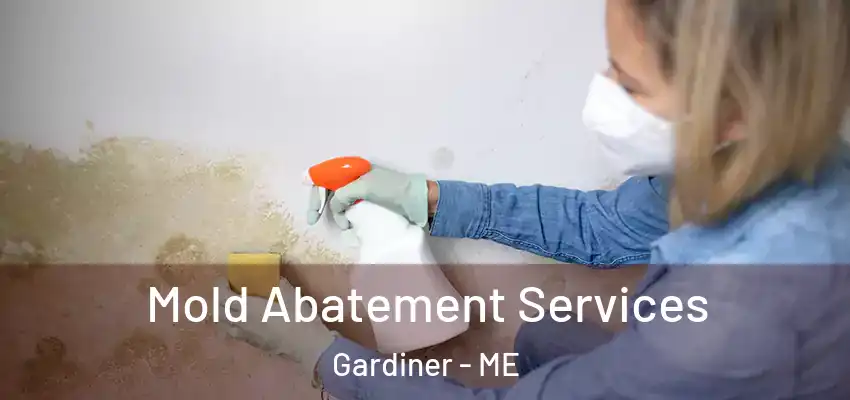  Mold Abatement Services Gardiner - ME