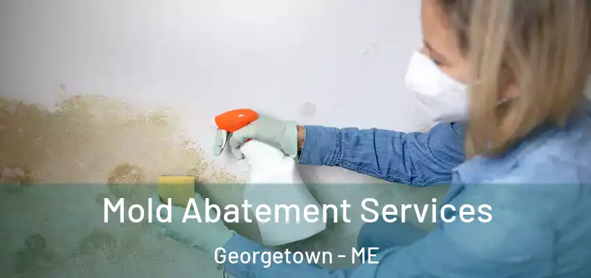  Mold Abatement Services Georgetown - ME