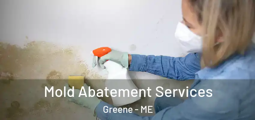  Mold Abatement Services Greene - ME