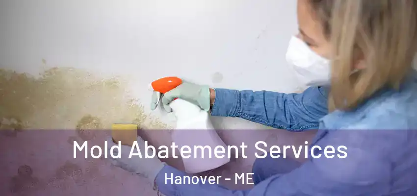  Mold Abatement Services Hanover - ME