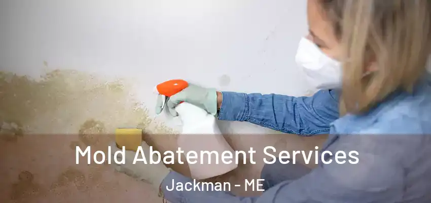  Mold Abatement Services Jackman - ME