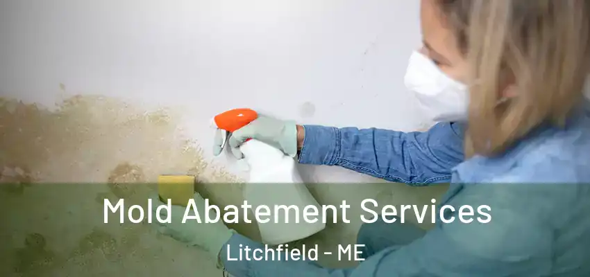  Mold Abatement Services Litchfield - ME