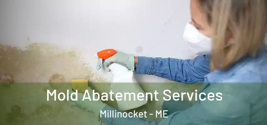  Mold Abatement Services Millinocket - ME