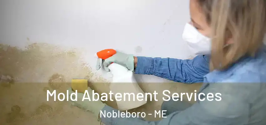  Mold Abatement Services Nobleboro - ME