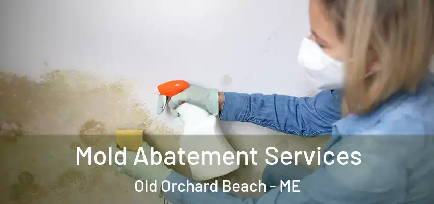  Mold Abatement Services Old Orchard Beach - ME