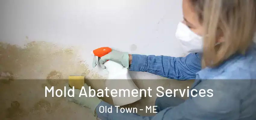  Mold Abatement Services Old Town - ME