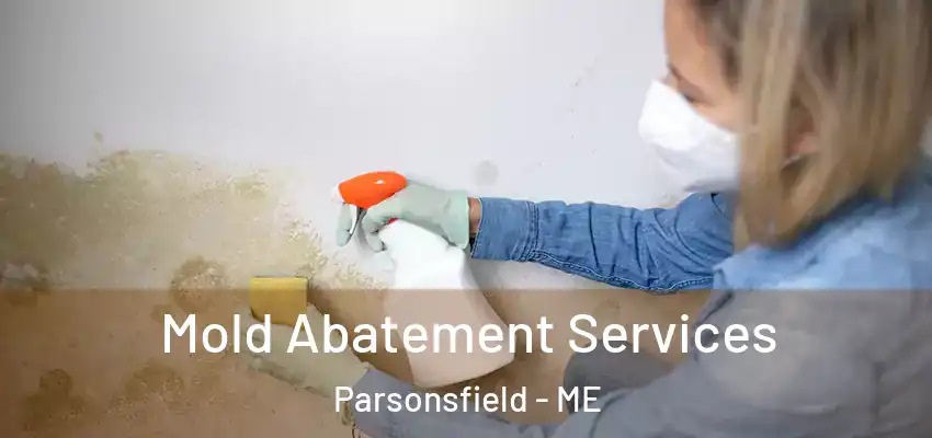  Mold Abatement Services Parsonsfield - ME