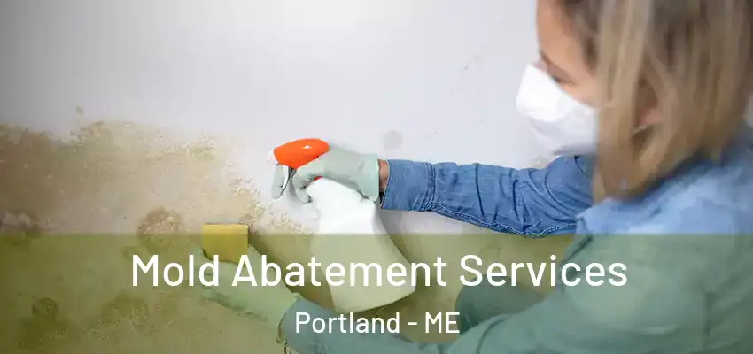  Mold Abatement Services Portland - ME