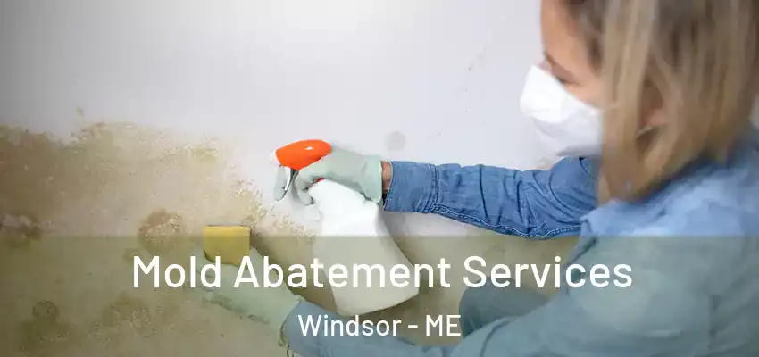  Mold Abatement Services Windsor - ME