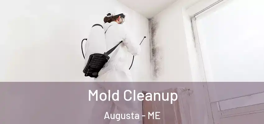  Mold Cleanup Augusta - ME