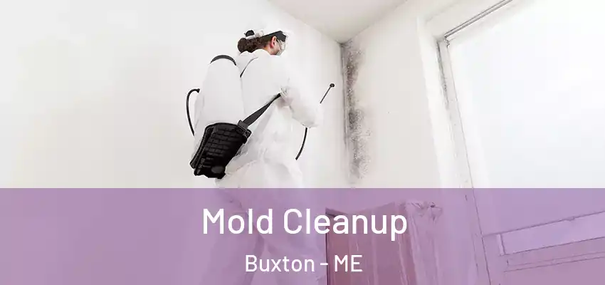  Mold Cleanup Buxton - ME
