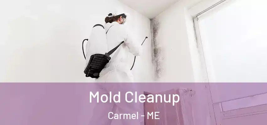  Mold Cleanup Carmel - ME